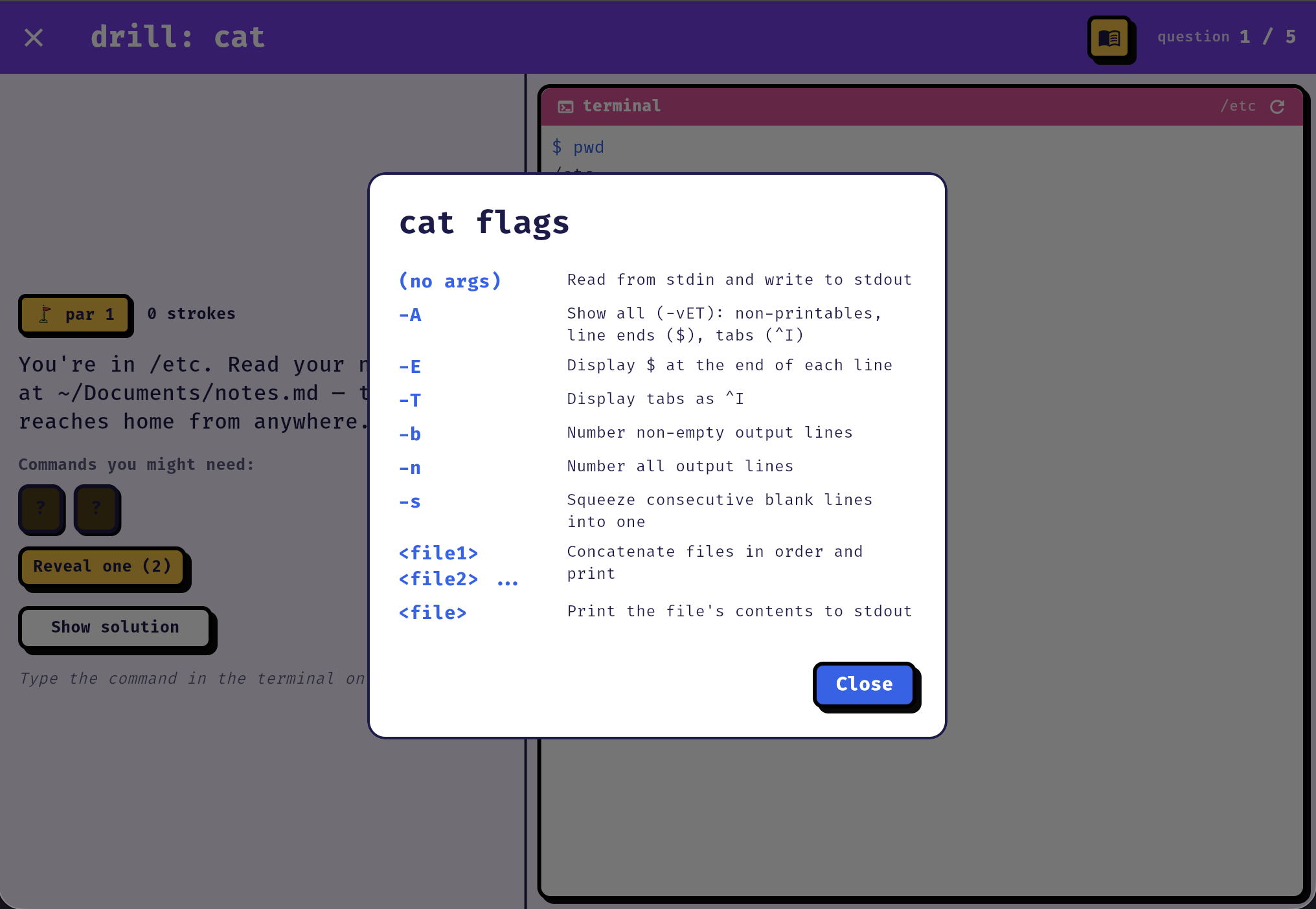 A built-in flag reference for cat, listing -A, -E, -T, -b, -n and -s